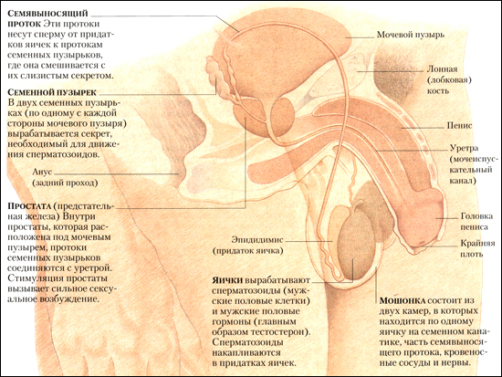 186_2.jpg (306986 bytes)