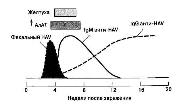 117-1.jpg