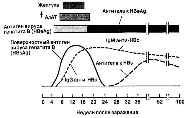 117-2.jpg