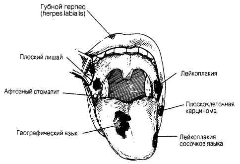 187-4.jpg